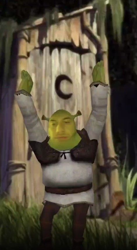 Get Shrek yourself - Instagram, Facebook AR Effect | Catchar