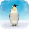 Penguin AR Instagram Filter