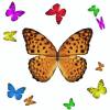 1001 Butterflies