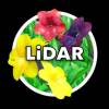 LiDAR Flowers